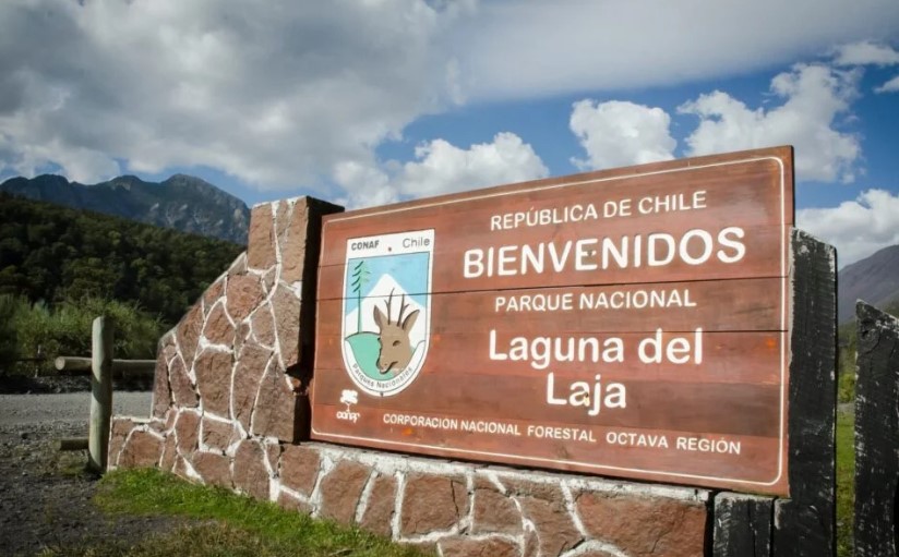 Parque Nacional Laguna del Laja reabre sus puertas al público